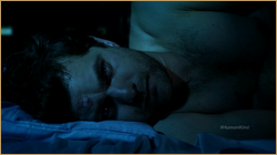 vlcsnap_2012_12_23_21h16m10s41