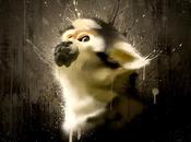 Découvrez l’intéressant travail PeyPo, graphiste illustrateur français talent.