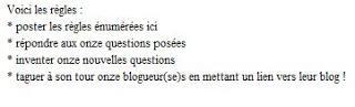 11 questions et puis s'en vont