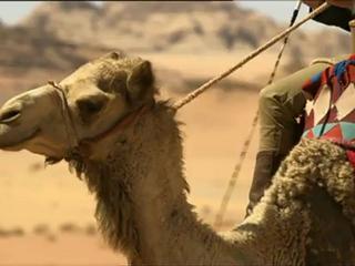 [Intégrale] Les derniers trésors de Rome du 28-12 à 20h41