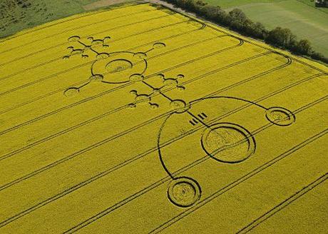 Crop circles (cercles de cultures)