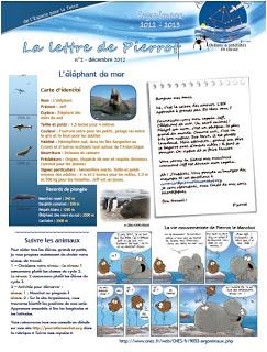 newsletters de Pierrot le manchot