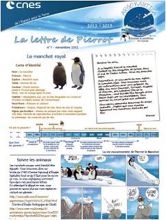 newsletters de Pierrot le manchot