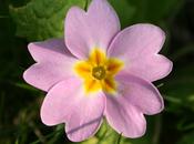 Aider être meilleur