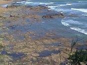 vérité l'affaire Harry Quebert