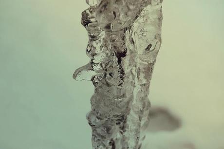 montagne-savoie-revard-ski-neige-ciel-beau-temps-photo-mousse-arbre-flocon