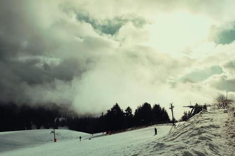 photo-fleur-rouge-bokeh-douceur-pastel