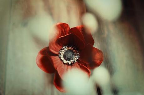 montagne-savoie-revard-ski-neige-ciel-beau-temps-photo