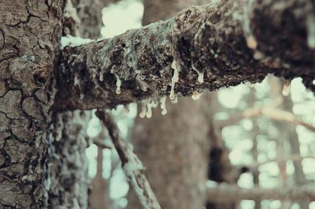 montagne-savoie-revard-ski-neige-ciel-beau-temps-photo-balcon-bois-chalet