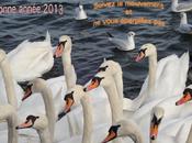 photo jour: dernière 2012!