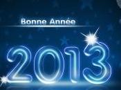 Bonne année 2013 !!!!!!