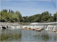 Langue chargée ? Tirez !