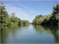 Langue chargée ? Tirez !