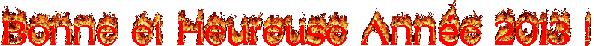 bonne année 2013