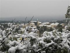 citations,proverbes,société,fêtes,coutumes,dictons