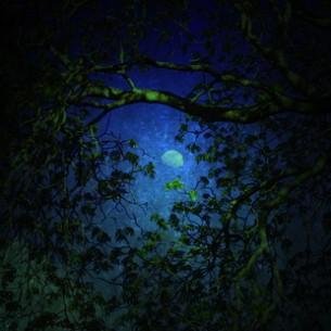 © Meletios Verras | Dreamstime.com