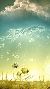 Des poissons qui volent sur l'écran de votre iPhone 5...