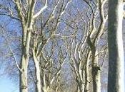 Vaux-le-Vicomte brille pour Noël enfants