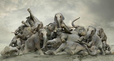 KoenDemuynckVignette