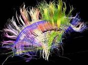 Dupont-Aignan, Pen, Geoffroy Didier pseudo-nationalistes s’emmêlent chiffres