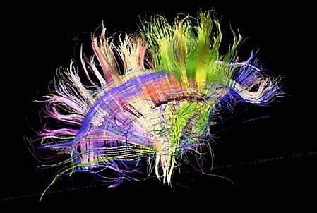 Dupont-Aignan, Le Pen, Geoffroy Didier ; les pseudo-nationalistes s’emmêlent les chiffres