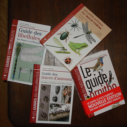 Tribulations d'un Maitre de Conf' en Stage 3/3