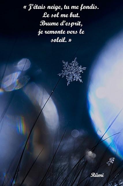 2013, un chemin phytospirituel ?