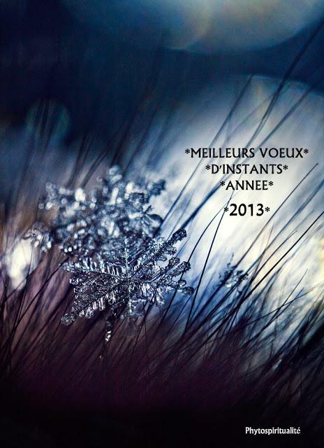 2013, un chemin phytospirituel ?