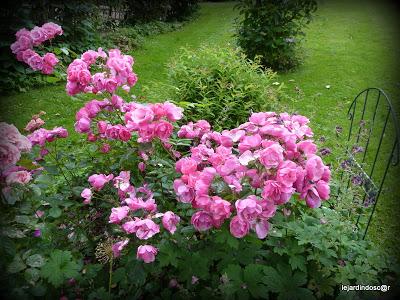 Juillet au jardin...