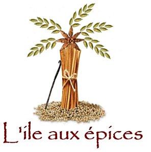 logo-petit-l-ile-aux-epices.jpg
