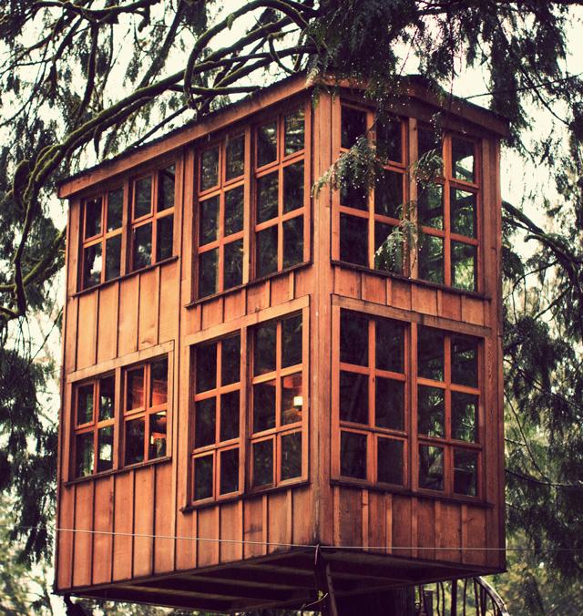 A sweet escape: Treehouse Point