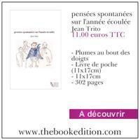 Editer ses articles de blog Le livre pensées spontanées sur l\'année écoulée