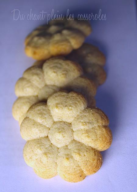 Biscuits citron épices