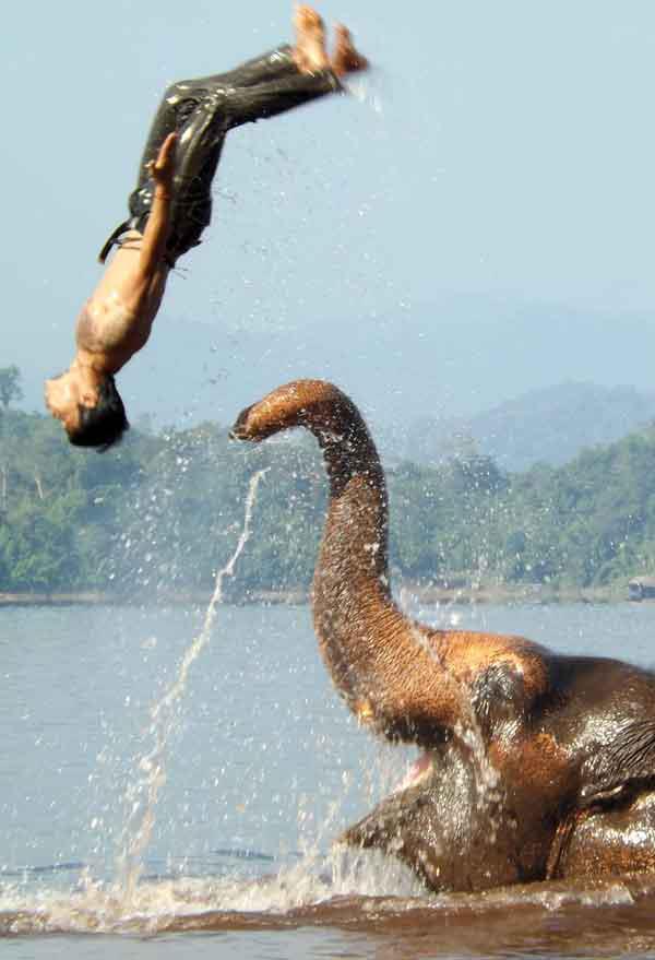 Lonely Planète Thaïlande, Humanité, formatage et laminage : Efficacité