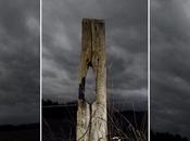 Voeux photographiques "Totems champs"
