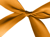 tous voeux,mes resolutions toutletoutim