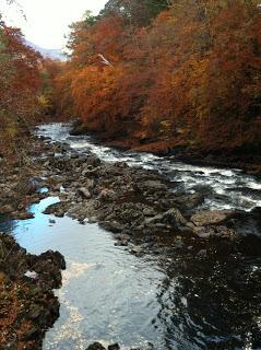 5 bonnes raisons d'aller en Ecosse