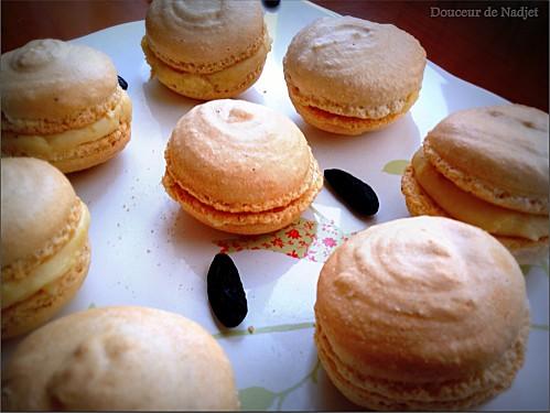 macaron a la fève tonka2