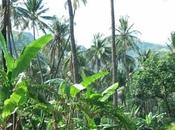 Réveil depuis bungalow Pacha, faut profiter, il...