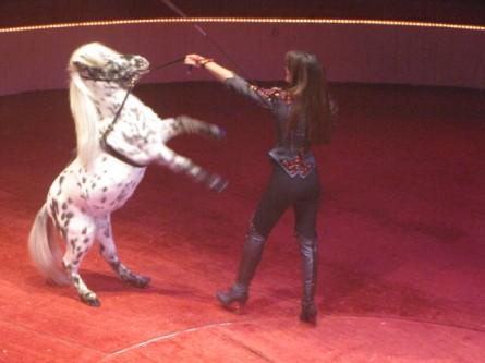 1301 Un jour au cirque (2).jpg