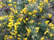 J’aime bien l’hiver Bretagne