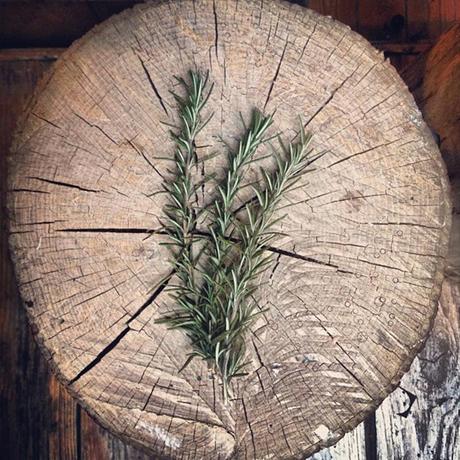 Instagram, mon amour