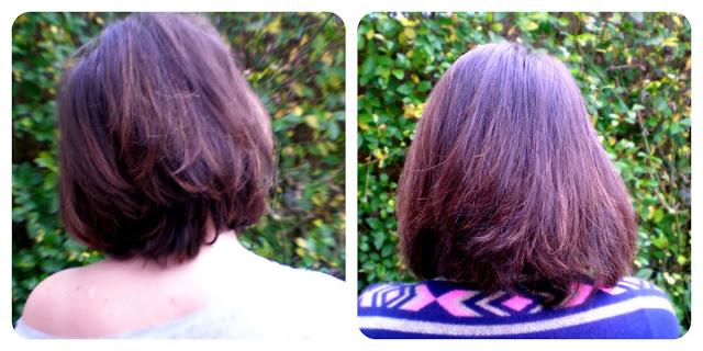 La Colo de l'Hiver qui fait du Bien