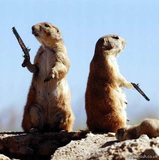 Le débat sur i alt=