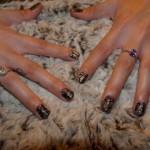 Un dimanche pluvieux … Un dimanche pluvieux …