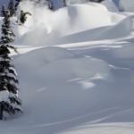 « Few Words » L’histoire d’une légende du ski moderne