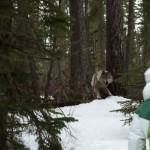 « Few Words » L’histoire d’une légende du ski moderne