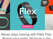 Fitbit Flex Wristband