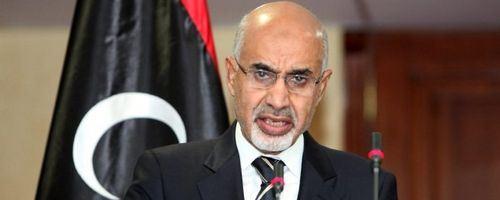 Mohamed Youssef Megaryef