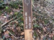 Week clapier presque)